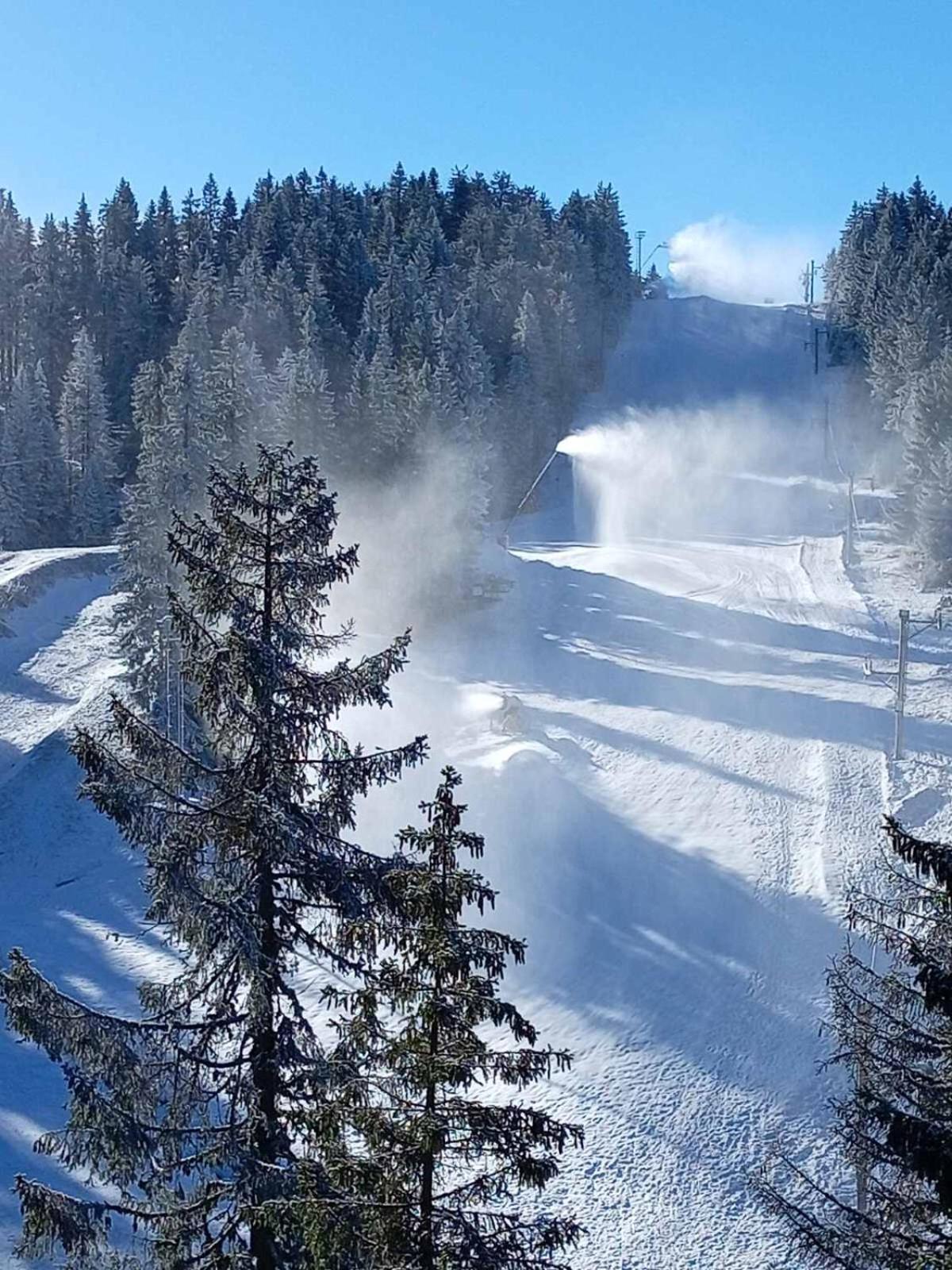 Woodside Woodside Apartments Kopaonik Free Parking & Spa , Free Ski Locker Esterno foto